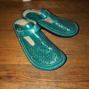 Adorable Teal Clogs